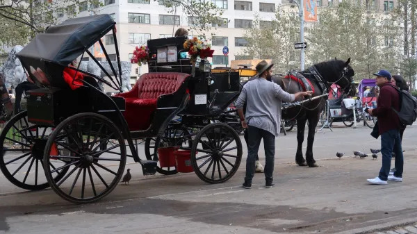 Mestni svet New Yorka je potrdil zakon o prepovedi kočij s konjsko vprego od 1. junija 2028. 