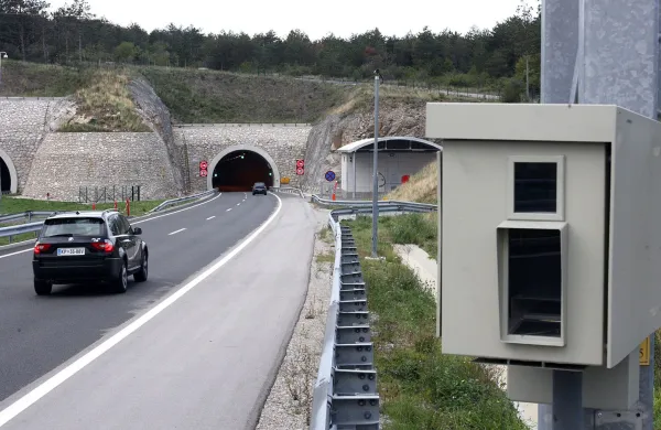 Prestregli &scaron;tiri cestne divjake