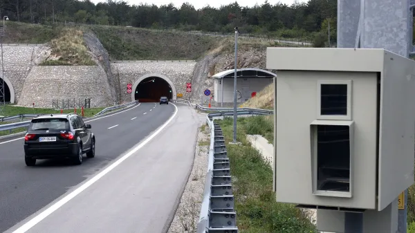 Prestregli &scaron;tiri cestne divjake