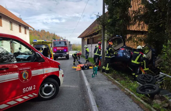 Čez robnik v ograjo in drevesa