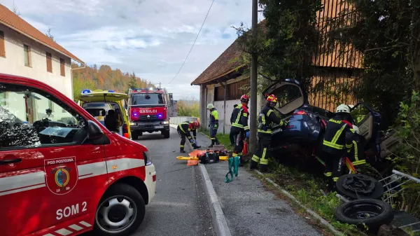 Čez robnik v ograjo in drevesa